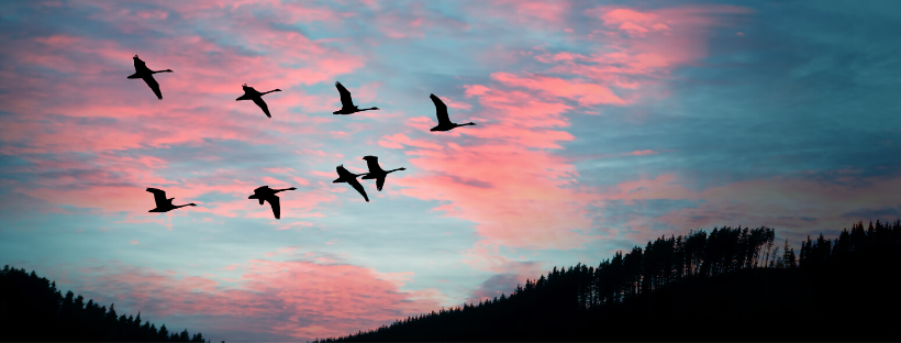 HSUGITA.NET/プロファイル