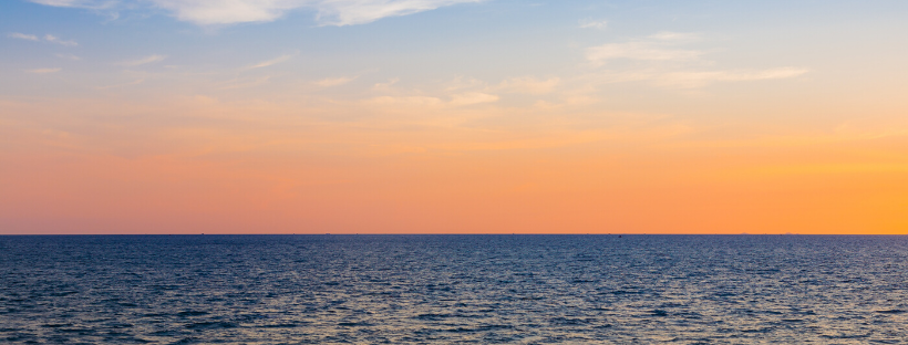 HSUGITA.NET/プロファイル