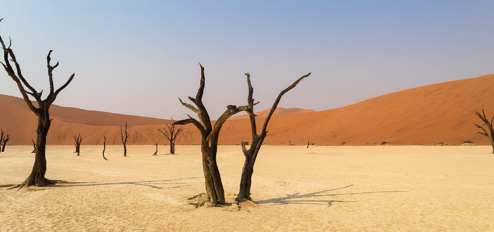 HSUGITA.NETでは、生活に役立つ上質な情報を「わかりやすい内容」でお届けします。上質な情報は主に、「大人の雑学」「役に立つ」「ミニマリスト」を軸に、日々の気づきを発信します。プライベート、ビジネスにおいて役立つ情報が満載です。