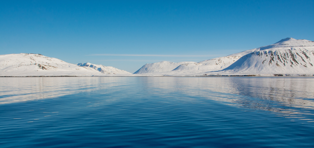 HSUGITA.NETでは、生活に役立つ上質な情報を「わかりやすい内容」でお届けします。上質な情報は主に、「大人の雑学」「役に立つ」「ミニマリスト」を軸に、日々の気づきを発信します。プライベート、ビジネスにおいて役立つ情報が満載です。