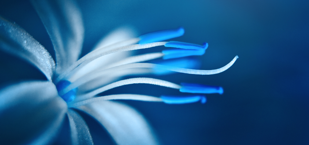 HSUGITA.NETでは、生活に役立つ上質な情報を「わかりやすい内容」でお届けします。上質な情報は主に、「大人の雑学」「役に立つ」「ミニマリスト」を軸に、日々の気づきを発信します。プライベート、ビジネスにおいて役立つ情報が満載です。